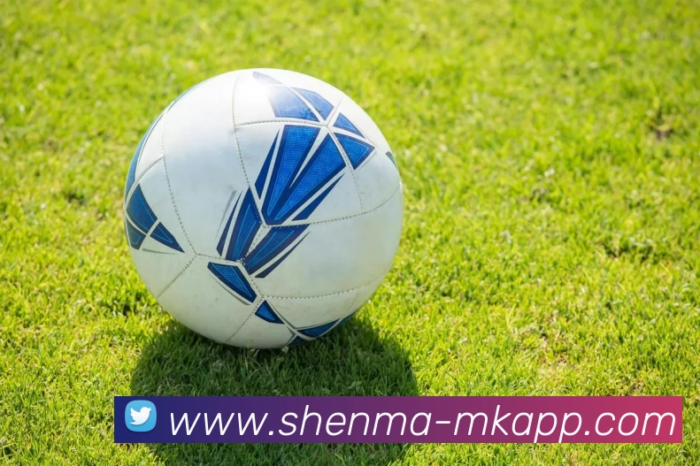 MK体育发展历程